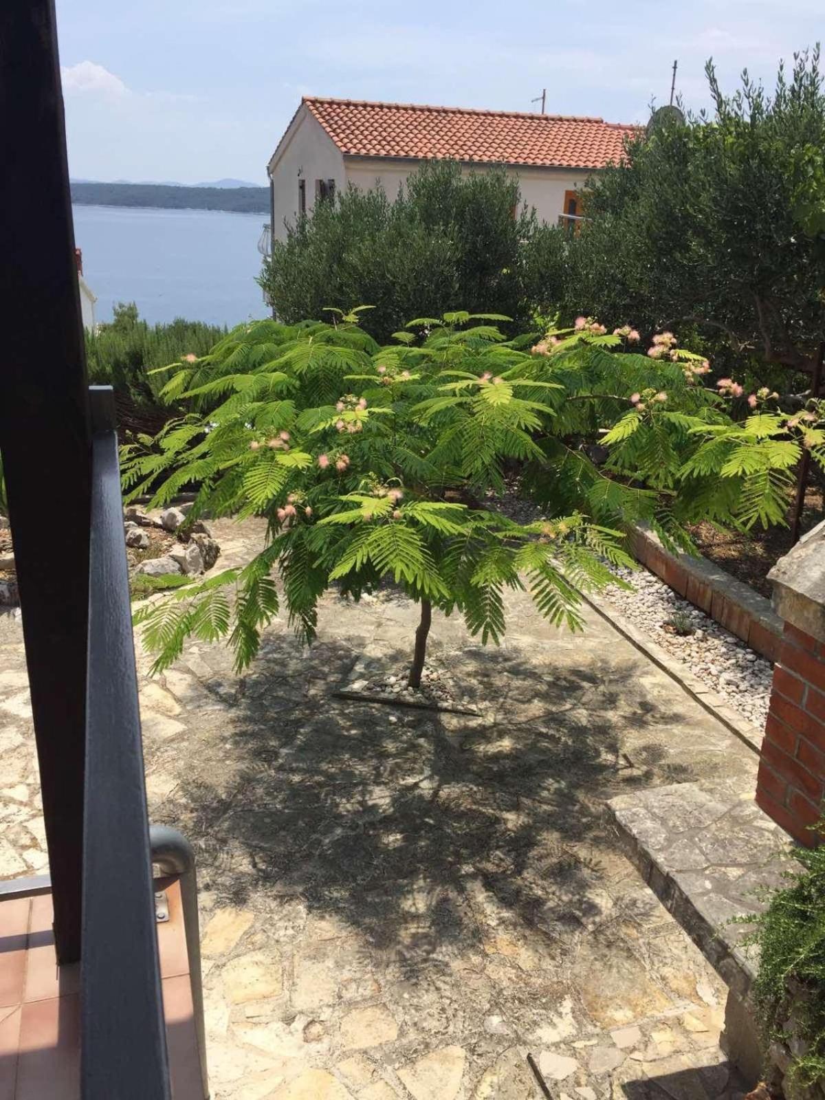 Nada Hvar * Zavala